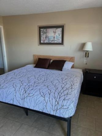Budget Inn Decatur Priceville المظهر الخارجي الصورة